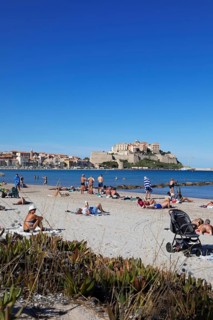 Calvi beach, back the citadel, Balagne, Haute-Corse department, Corsica, France
