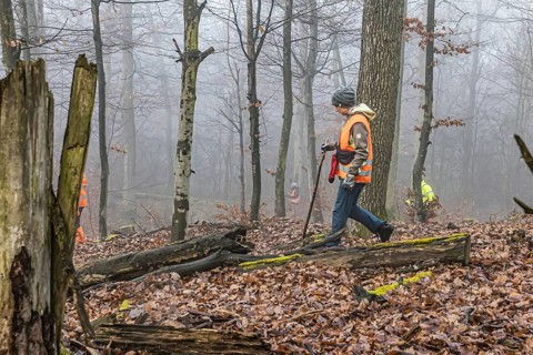 Driven hunting in Schönbuch. In autumn, hunters go hunting for wild boar and deer. Drivers in
