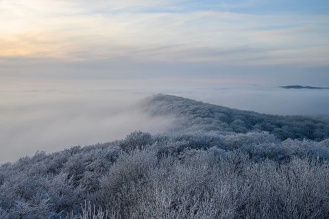 Snowy range of hills with frosty trees in the morning light, Hermannsweg an der Steinegge, Dissen