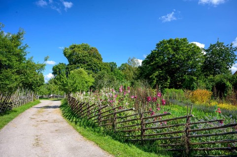 A path along the colorful cottage garden of the famous botanist and taxonomist Carl von Linne with