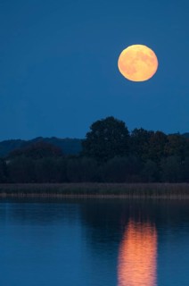 Rising full moon on the shores of Schaalsee, Zarrentin, Mecklenburg-Western Pomerania, Germany