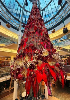 Schadow arcades, elegant shopping center with Christmas decorations and a large Christmas tree