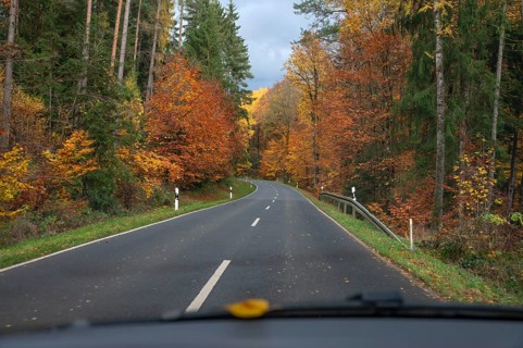 Herbstwald an der Bundestraße 2, View from the car, Gräfenberg, Upper Franconia, Bavaria, Germany