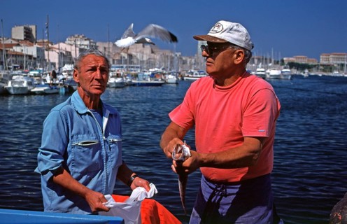 Fish seller, seagull in flight, fish market, Vieux Port, Marseille, southern France, June 1999,