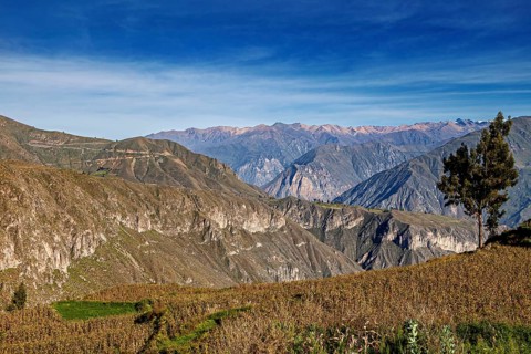 Wide mountain landscape with fields and a clear sky, The landscape of the Colca Canyon in the Andes