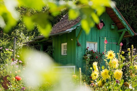 Green garden shed and summer flower garden, allotment garden, Meersburg, Lake Constance,
