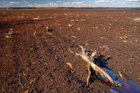 Peated hoochmoor black peat in cloudy skies with earthy colors and natural texture, Diepholzer