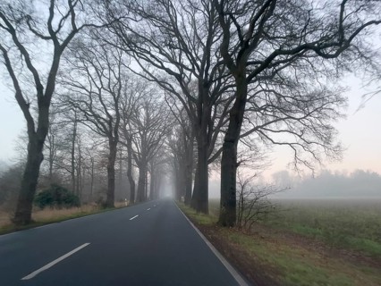 Driver's perspective view of foggy, foggy country road with trees next to the road in thick fog in