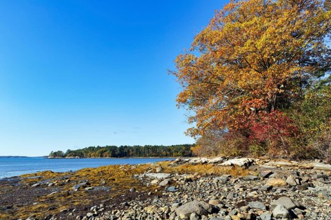 Wooded shoreline, rocky beach, low tide, Indian summer, blue sky, campground, sustainable farm in