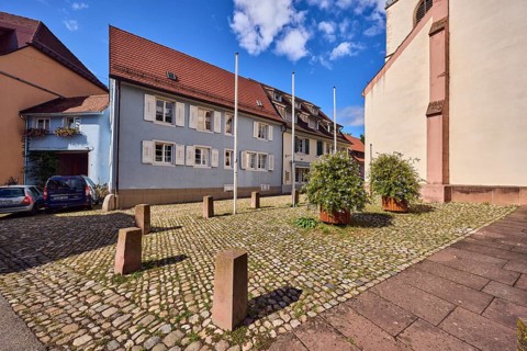 Houses, residential buildings, apartment blocks, church, facade with windows and shutters, dormers,