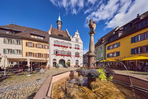 Market fountain, decoration with plants and flowers, historic town hall, outdoor area of a
