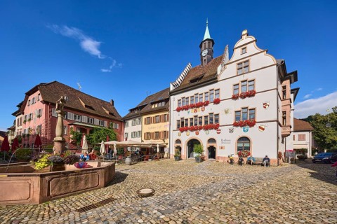 Historic town hall, market fountain, general architecture, historic buildings, houses, cobblestone
