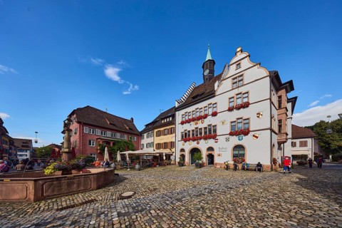 Historic town hall, market fountain, general architecture, houses, cobblestone square, outdoor area