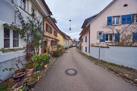 Residential buildings, multi-family houses, façade with windows and trellises, flower pots,