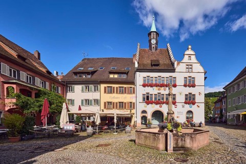 Historic town hall, market fountain, general architecture, historic buildings, houses, town hall