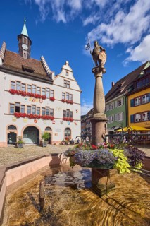 Market fountain, historic town hall, general architecture, houses, cobblestone square, trees, blue
