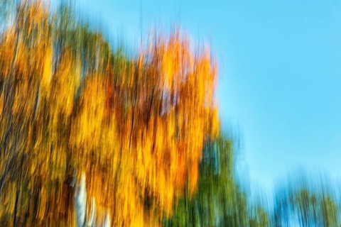 Autumn leaves, Indian summer, long exposure, abstract, illustration, copy space, Maine, New