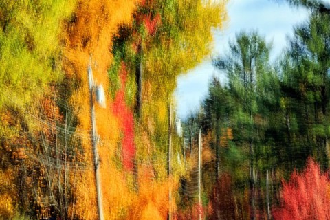 Autumn leaves, Indian summer, power poles, long exposure, abstract, illustration, Maine, New