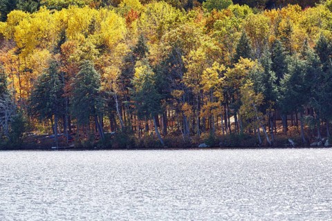 Lakeside, pond, autumn leaves, Indian summer, Maine, New England, USA