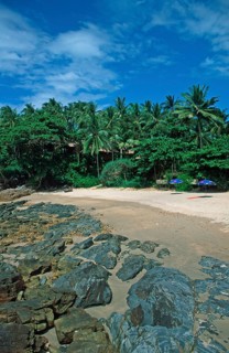 Umbrellas, palm beach at The Narima Resort on the island of Ko Lanta, Thailand, December 2002,