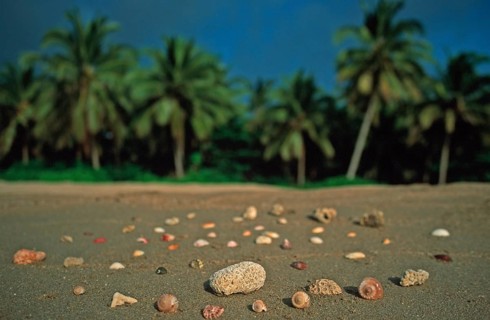 Corals and mussels on a palm beach on the island of Ko Lanta, Thailand, December 2002, vintage,