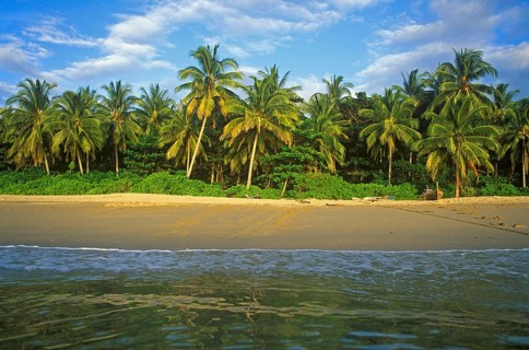 Coconut trees, beach on the island of Ko Lanta, Thailand, December 2002, vintage, retro, old,