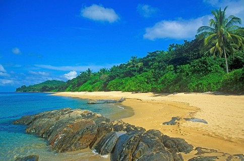 Palm tree, secluded beach on the island of Ko Lanta, Thailand, December 2002, vintage, retro, old,