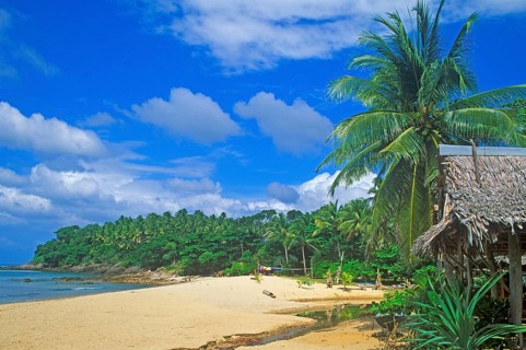 Palm tree, cabin, beach at Coral Beach Resort on the island of Ko Lanta, Thailand, December 2002,