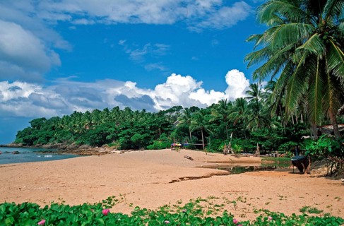 Palm tree, beach at Coral Beach Resort on the island of Ko Lanta, Thailand, December 2002, vintage,
