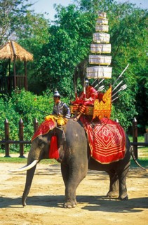 Decorated war elephant at Samphran Elephant Ground and Zoo near Bangkok, Thailand, December 2002,