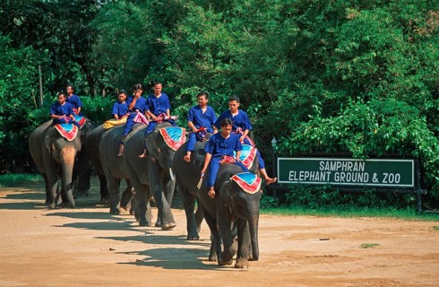 Performance with elephants at Samphran Elephant Ground and Zoo near Bangkok, Thailand, December