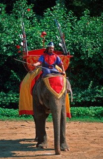 Performance with elephants at Samphran Elephant Ground and Zoo near Bangkok, Thailand, December