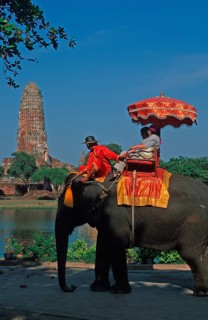 People, tourists, temple ruins, riding on an elephant through ancient sights, Ayutthaya, Thailand,