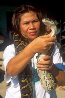 A woman presents a python in Damnoen Saduak near Bangkok, Thailand, December 2002, vintage, retro,