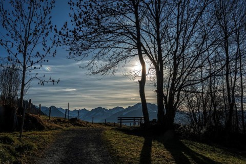 Bare trees in backlight on the hiking trail near Reichenbach, behind mountains of the Allgäu Alps,