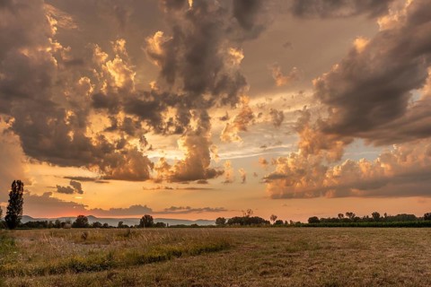 A brilliant sunset casts warm colors across a cheerful meadow. Dark clouds dominate the sky, while