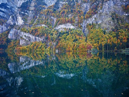 Autumn-colored forest is reflected in Lake Klöntal, Canton of Glarus, Switzerland