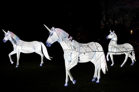 From November 29, 2025 to January 11, 2026, the palm garden and its partner World of Lights