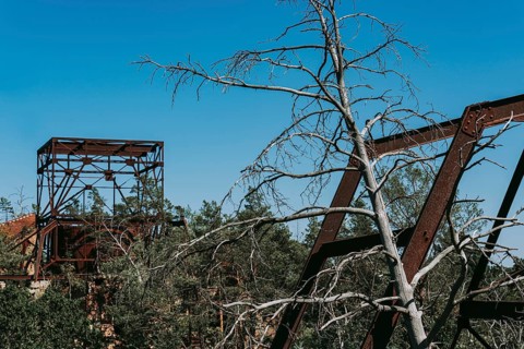 Ruins of the Women's Sanatorium, Lost Place, Heilstätten Beelitz, Brandenburg