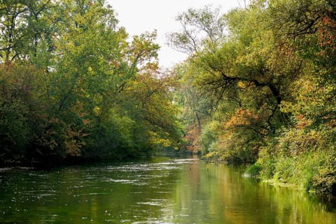 Altrhein, Rhine, Taubergießen Nature Reserve, Kappel-Grafenhausen, Ortenau, Baden-Württemberg,