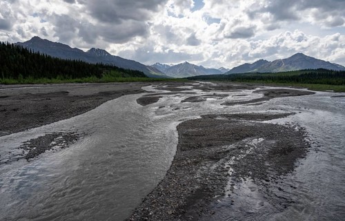 Taiga and tundra with Teklanika River, mountain scenery of the Alaska Range with dramatic cloudy