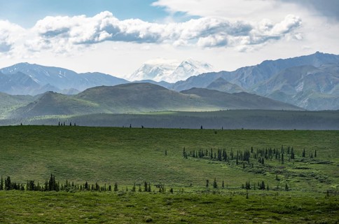 Tundra and glaciated peak of Denali or Mount McKinley, Alaska Range mountainous landscape, Denali