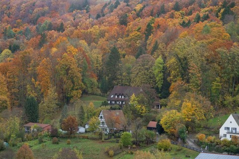 Herbstlicher Mischwald, Egloffstein, Upper Franconia, Bavaria, Germany