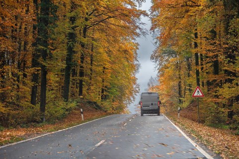 Federal road surrounded by mixed autumn forest, Gräfenberg, Upper Franconia, Bavaria, Germany