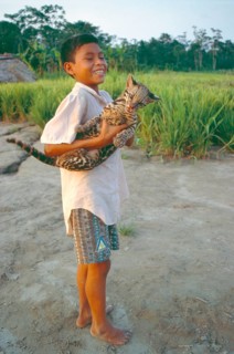 A boy whose father runs a small private zoo near Iquitos in the Amazon shows an ocelot (Leopardus