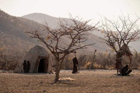 Himba huts, traditional Himba village in the savanna, arid countryside, Kaokoveld, Kunene, Namibia