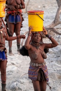 Himba woman fetching water, heavy water bucket on their heads, traditional Himba, Kaokoveld,