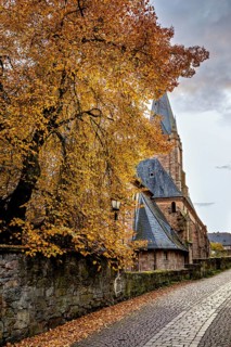 Towering church next to a tree with yellow autumn leaves on a cobblestone street, The Lutheran