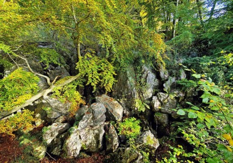 Sea of rocks in autumn, Hemer, Sauerland, North Rhine-Westphalia, Germany