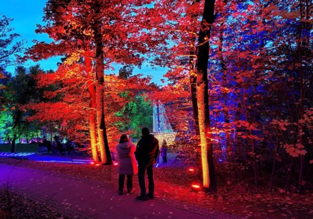 Illumination during the Herbstlichtgarten event in Sauerlandpark in the evening in Hemer,